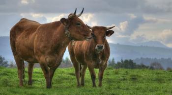 Asturias