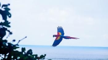 Costa Rica
