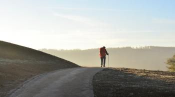 CAmino de Santiago