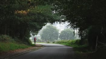 CAmino de Santiago