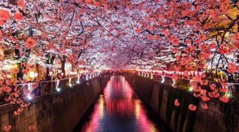 japon