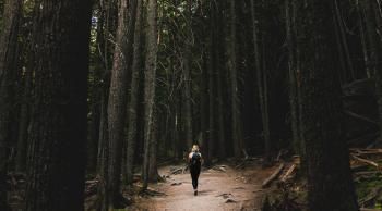 Camino Santiago