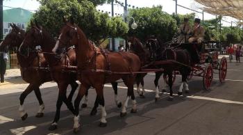 Feria Malaga