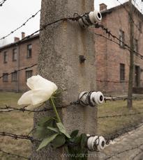  Visita a Auschwitz